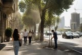 Bakıda ağacları kəsərkən qayda pozuntusuna yol verən əməkdaş işdən çıxarılıb