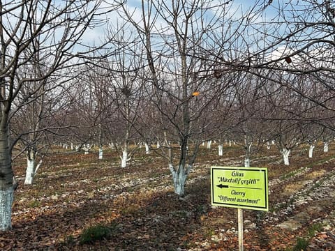 Media nümayəndələri Qafqazın ilk aqroekoturizm məkanı olan “Bio Garden”də olublar