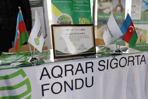Neftçalada 90-cı Aqrar Biznes Festivalı və “I Balıq” Festivalı keçirilib