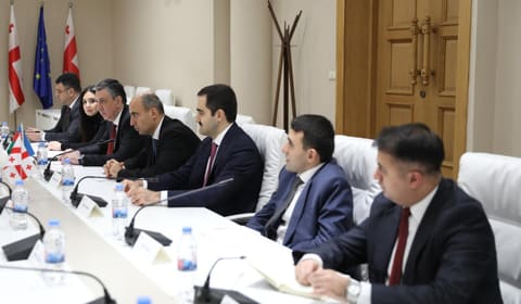 Emin Əmrullayev Gürcüstanın ali təhsil sahəsində əməkdaşlıq imkanlarını müzakirə edib