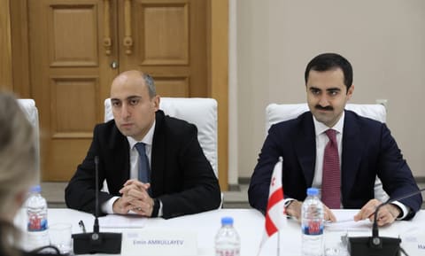 Emin Əmrullayev Gürcüstanın ali təhsil sahəsində əməkdaşlıq imkanlarını müzakirə edib