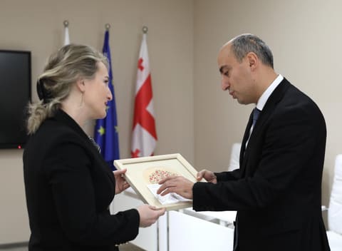 Emin Əmrullayev Gürcüstanın ali təhsil sahəsində əməkdaşlıq imkanlarını müzakirə edib