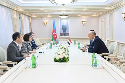Sahibə Qafarova Misirin ölkəmizdəki səfiri ilə görüşüb