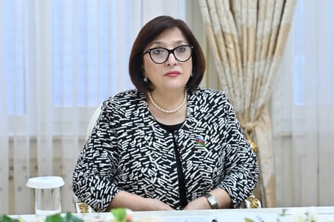 Sahibə Qafarova Misirin ölkəmizdəki səfiri ilə görüşüb