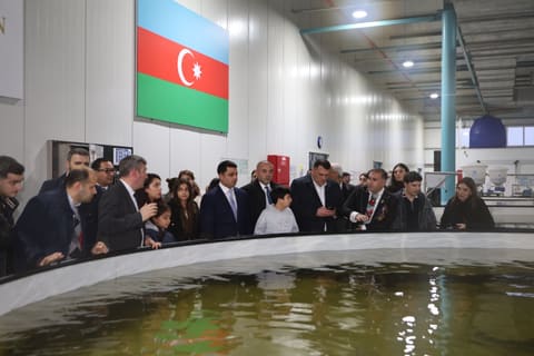 Neftçalada 90-cı Aqrar Biznes Festivalı və “I Balıq” Festivalı keçirilib