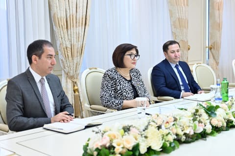 Sahibə Qafarova Misirin ölkəmizdəki səfiri ilə görüşüb