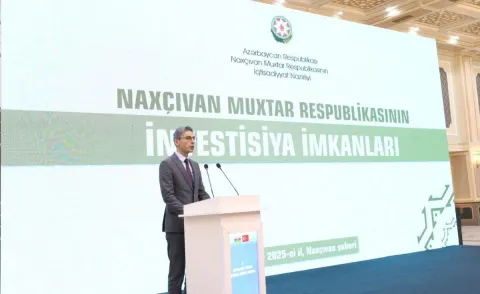 Azərbaycan Türkiyənin sərhədyanı bölgələri ilə iqtisadi-ticarət əlaqələrinin genişləndirilməsini müzakirə edib - Fotolar