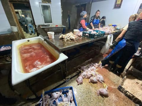 Xırdalanda qanunsuz və antisanitar şəraitdə fəaliyyət göstərən quş kəsimi sexinin fəaliyyəti məhdudlaşdırılıb