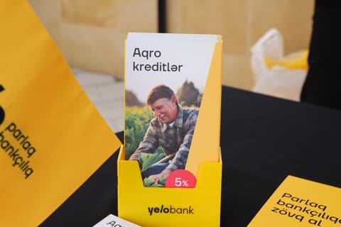 Neftçalada 90-cı Aqrar Biznes Festivalı və “I Balıq” Festivalı keçirilib