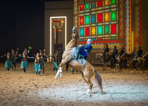 Qarabağ atları Bəhreyndə keçirilən “Mara’ee 2025” festivalında çıxış edib 
