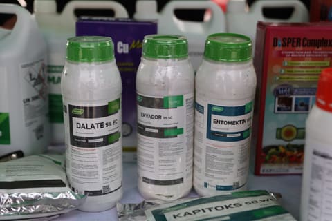 Neftçalada 90-cı Aqrar Biznes Festivalı və “I Balıq” Festivalı keçirilib