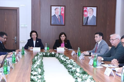 Ekspert şurasının növbəti iclası keçirilib - Fotolar