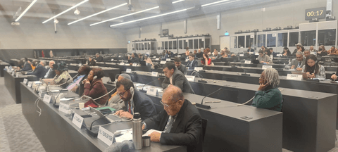 Ombudsman Aparatının nümayəndələri Cenevrədə səfərdədirlər