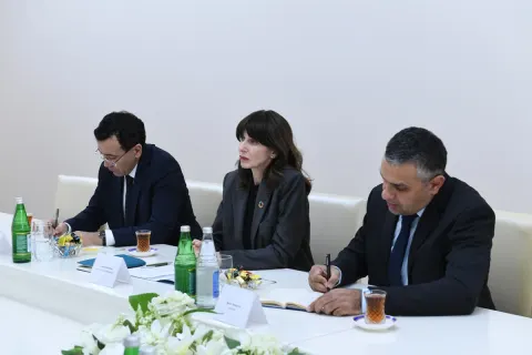 Vladanka Andreyevanın Dövlət Komitəsi ilə əməkdaşlığı yüksək qiymətləndirilib - Fotolar