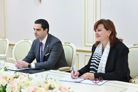 Sahibə Qafarova Slovakiyanın ölkəmizdəki səfiri ilə görüşüb