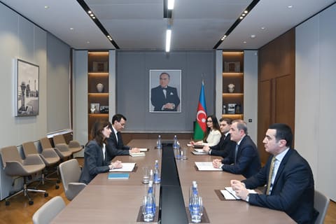 Ceyhun Bayramov Vladanka Andreyevanı diplomatik fəaliyyətinin başa çatması ilə əlaqədar qəbul edib