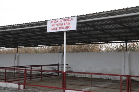 Salyan heyvan bazarı yenidən qurulub