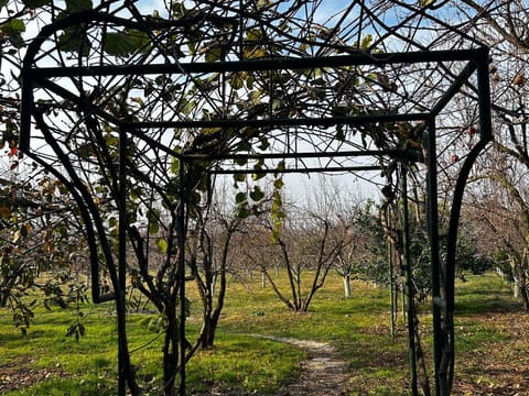 Media nümayəndələri Qafqazın ilk aqroekoturizm məkanı olan “Bio Garden”də olublar