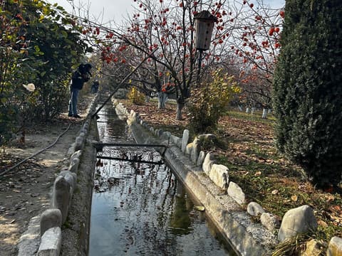 Media nümayəndələri Qafqazın ilk aqroekoturizm məkanı olan “Bio Garden”də olublar