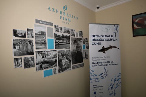 Neftçalada 90-cı Aqrar Biznes Festivalı və “I Balıq” Festivalı keçirilib