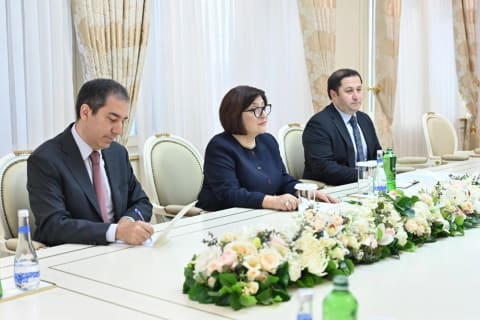 Sahibə Qafarova Slovakiyanın ölkəmizdəki səfiri ilə görüşüb