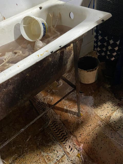 Xırdalanda qanunsuz və antisanitar şəraitdə fəaliyyət göstərən quş kəsimi sexinin fəaliyyəti məhdudlaşdırılıb