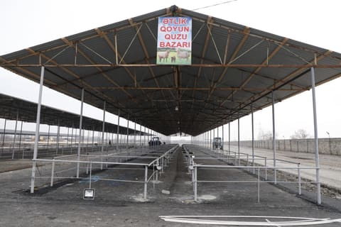 İmişli və Beyləqan heyvan bazarları açılışa hazırdır 