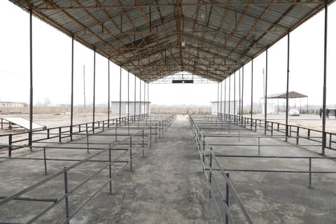 İmişli və Beyləqan heyvan bazarları açılışa hazırdır 