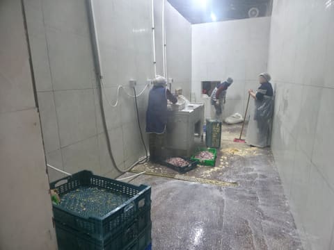 Novxanıda fəaliyyət göstərən kəsim məntəqəsində nöqsanlar aşkarlanıb