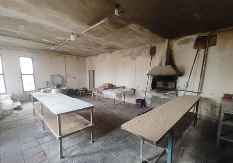 Ət qutabında at DNT-si aşkarlanıb - Video