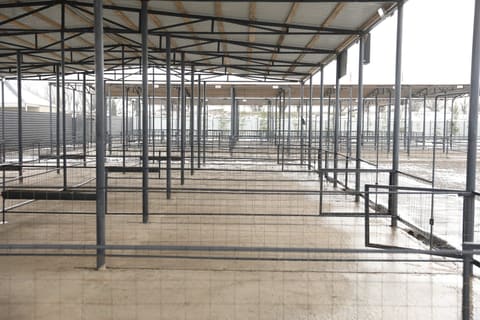 Daha bir heyvan bazarının fəaliyyətinə icazə verilib