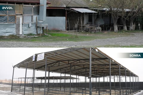 Daha bir heyvan bazarının fəaliyyətinə icazə verilib