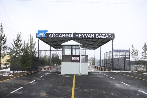 Daha bir heyvan bazarının fəaliyyətinə icazə verilib