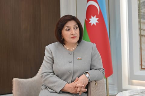 Milli Məclisin sədri BƏƏ Federal Milli Şurasının sədri ilə görüşüb