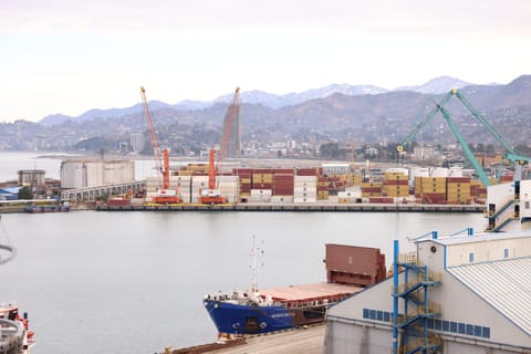ADY ilə Gürcüstanın aparıcı logistika şirkəti və limanları arasında əməkdaşlıq imkanları müzakirə edilib