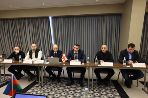 ADY sədri gürcüstanlı həmkarı ilə görüşüb