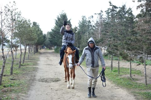 Əlilliyi olan 1300-dən çox şəxs hippoterapiya xidmətlərinə cəlb olunub