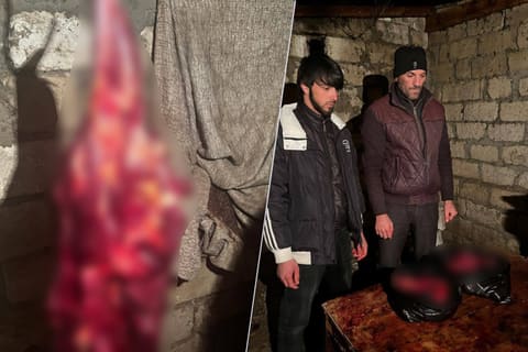 Tərtərdə 150 kq-a yaxın at əti aşkar edilib