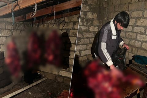 Tərtərdə 150 kq-a yaxın at əti aşkar edilib