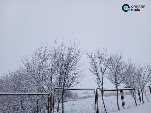 Şəmkirə güclü qar yağıb - FOTO
