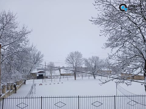 Şəmkirə güclü qar yağıb - FOTO