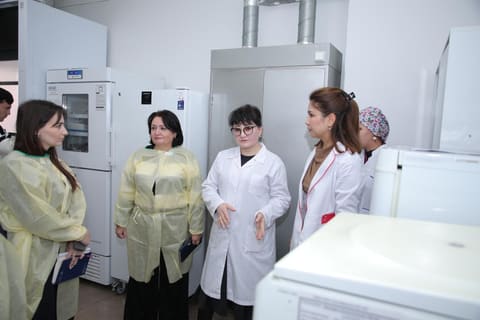 AQTA mütəxəssisləri özbəkistanlı həmkarları ilə təcrübələrini bölüşüblər