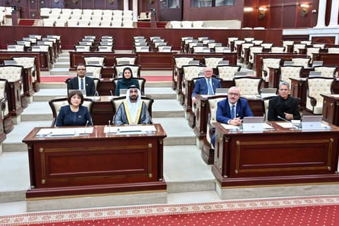 Sahibə Qafarova Ərəb Parlamentinin prezidenti ilə görüşüb