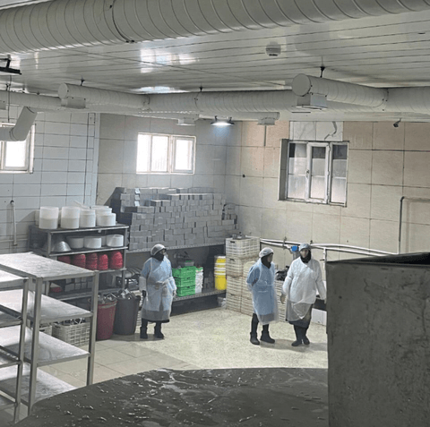 "BFT Cheesella” MMC-yə məxsus süd və süd məhsullarının emalı müəssisəsində yoxlama keçirilib