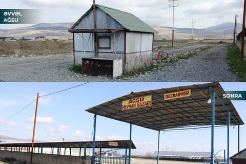 Masallı və Ağsu heyvan bazarları açılıb 