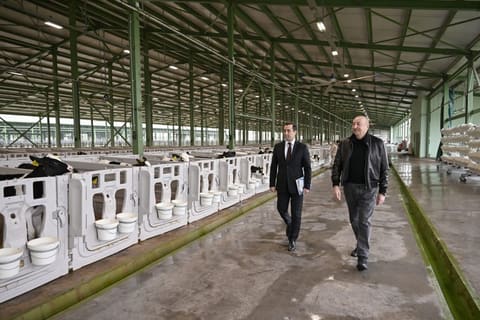 Prezident İlham Əliyev Şamaxıda “Şirvan Aqro” heyvandarlıq kompleksinin açılışında iştirak edib