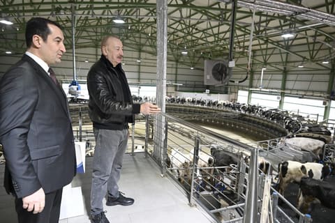 Prezident İlham Əliyev Şamaxıda “Şirvan Aqro” heyvandarlıq kompleksinin açılışında iştirak edib