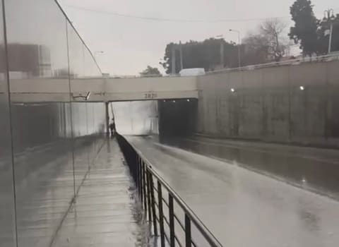 ADSEA gücləndirilmiş iş rejimində çalışır - FOTOLAR