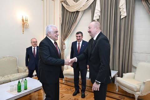  İlham Əliyev Türkiyənin Vitse-prezidentininin başçılıq etdiyi nümayəndə heyətini qəbul edib