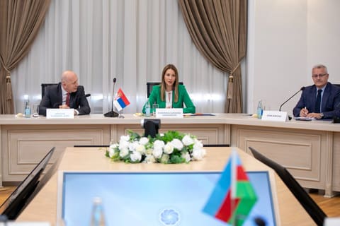 Azərbaycandan Serbiyaya ixrac edilən qazın həcmi açıqlanıb